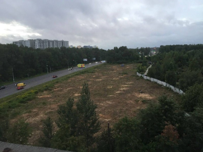 Обрезка веток